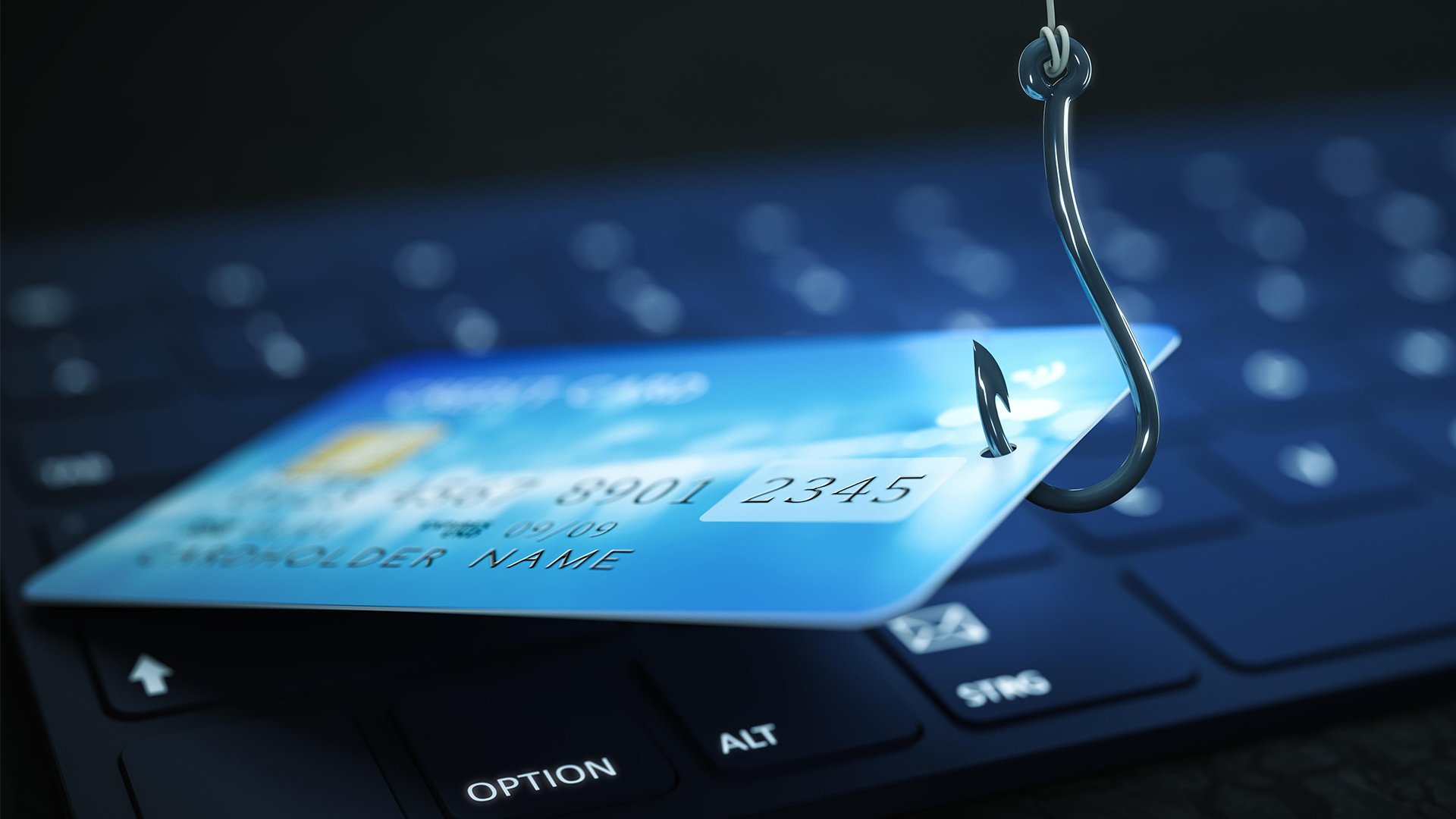 hacking, identity theft, credit card